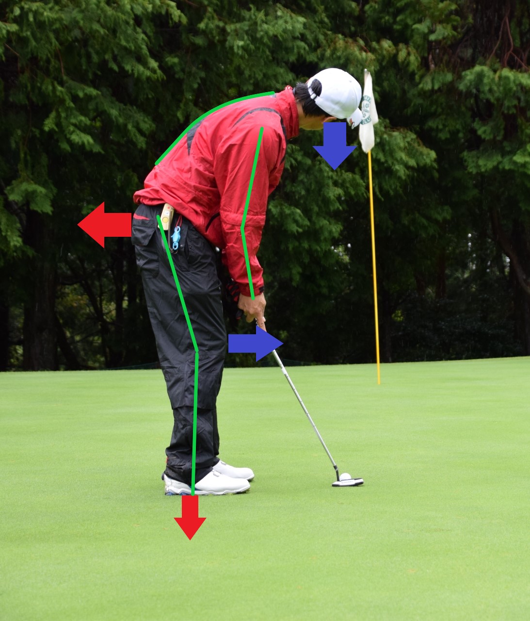 ゴルフイップス