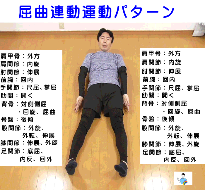 体の特徴　イップス動きの再構築