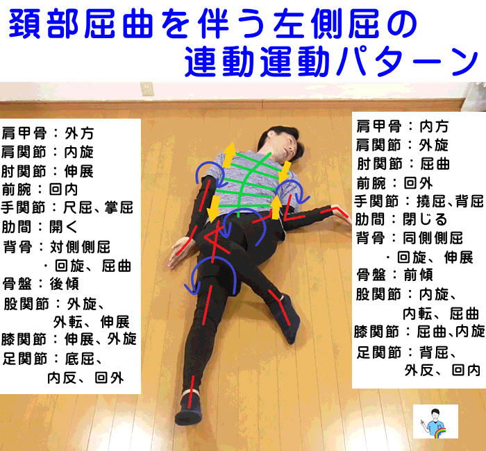 体の特徴　イップス動きの再構築