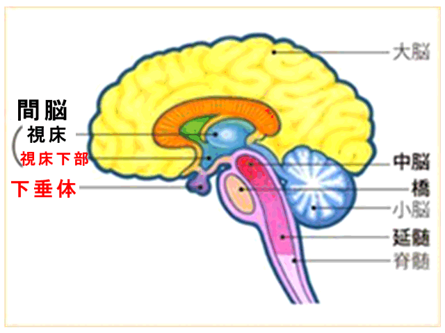 イップス治療　イップス克服　イップス改善　イップス病院
