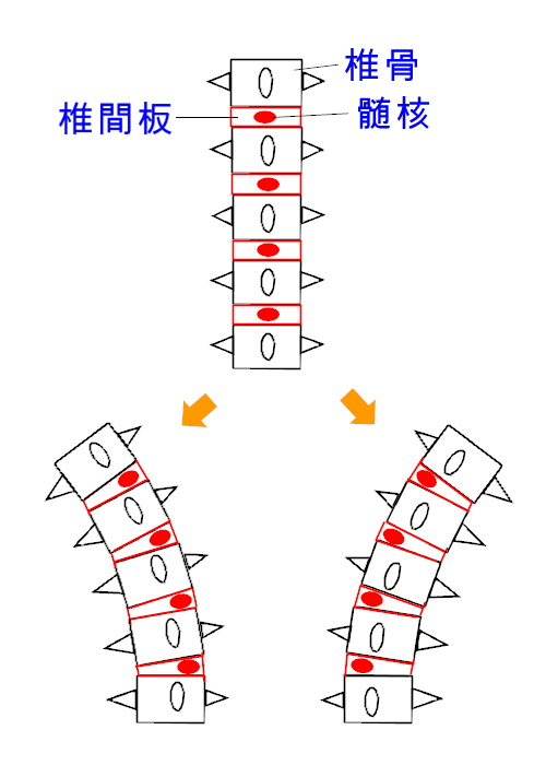 イップス治療　イップス克服　イップス改善　イップス病院