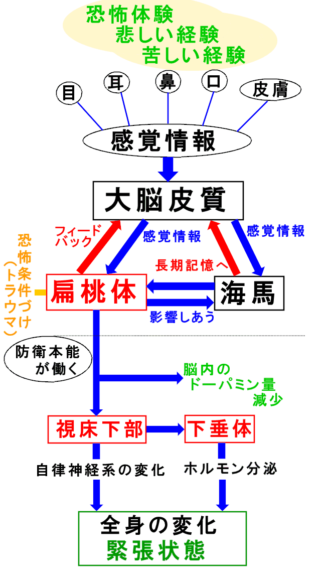 うつ病・パニック障害　メンタルケア