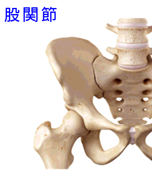 イップス治療　イップス克服　イップス改善　イップス病院