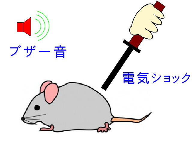 イップス治療　イップス克服　イップス改善　イップス病院