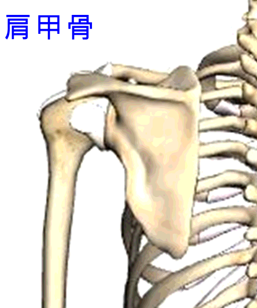イップス治療　イップス克服　イップス改善　イップス病院