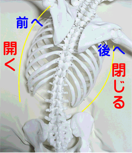 イップス治療　イップス克服　イップス改善　イップス病院